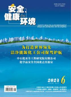 安全健康和环境